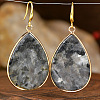 Natural Larvikite Teardrop Dangle Earrings FS-WG5CAE0-11-1