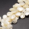 Natural Trochid Shell/Trochus Shell Beads Strands SSHEL-K009-06-1