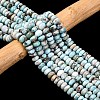 Natural Larimar Beads Strands G-H004-A01-02-1