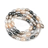 Electroplated Shell Pearl Beads Strands BSHE-H113-06C-03-2