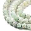 Natural Green Opal Beads Strands G-Z035-A02-03C-4