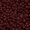 TOHO 6/0 Round Beads X-SEED-TR06-0046F-4