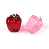 Transparent Resin Pendants RESI-N050-14P-2
