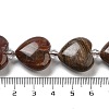 Natural Petrified Wood Beads Strands G-C150-A08-01-5