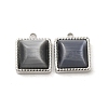 304 Stainless Steel Charms STAS-L022-075P-02-1