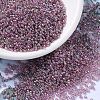 MIYUKI Round Rocailles Beads SEED-JP0008-RR0256D-1