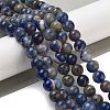 Natural Sodalite Beads Strands GSR8mmC013-1-2