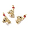Rack Plating Brass Micro Pave Cubic Zirconia Pendants LS-KK-A160-14G-2