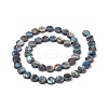 Natural Abalone Shell/Paua Shell Beads Strands SSHEL-G003-5-8x3mm-3