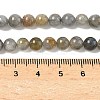 Natural Labradorite Beads Strands G-U017-6mm-01-A-3