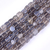 Natural Agate Beads Strands G-T121-04E-1