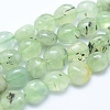 Natural Prehnite Beads Strands X-G-E483-71-1