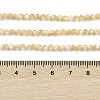 Natural Trochus Shell Beads Strands BSHE-G036-08B-02-4