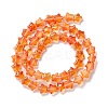 Transparent Glass Beads Strand X1-GLAA-F112-04F-3