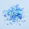 Plastic Candy Sequins/Paillette Chip DIY-I019-02A-2