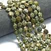 Natural Rhyolite Jasper Beads Strands G-C116-A99-01-1