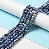 Natural Blue Spot Jasper Beads Strands G-P476-01B-02-2