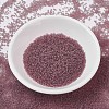 MIYUKI Delica Beads LS-X-SEED-J020-DB0765-2