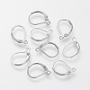 Tarnish Resistant 304 Stainless Steel Leverback Earring Findings LS-STAS-S066-13-1