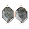 Natural Labradorite Links Connectors G-S359-280B-2