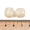 Opaque Resin European Beads X-RESI-C070-03-3