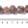 Natural Weathered Agate Beads Strands G-Q169-C04-02A-5
