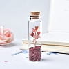 Glass Wishing Bottles PW-WG84838-05-1