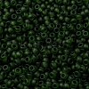 MIYUKI Round Rocailles Beads X-SEED-G008-RR0158F-3