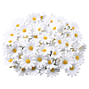 100Pcs Cloth Artificial Sunflower DIY-SP0005-96B-1