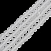 Transparent Glass Beads Strands LS-EGLA-A034-T10mm-MD19-2