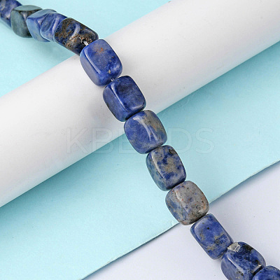 Natural Sodalite Beads Strands G-F743-02I-1