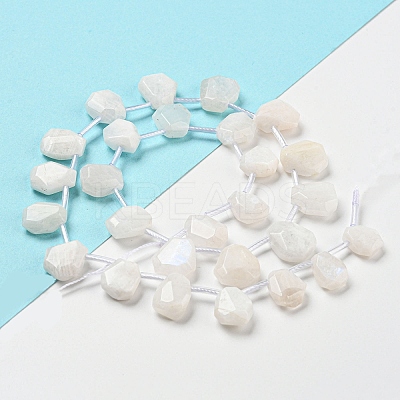 Natural Rainbow Moonstone Beads Strands G-Z040-A06-01-1