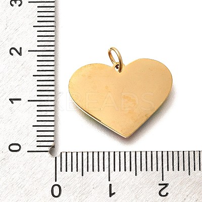 Pride 304 Stainless Steel Enamel Pendants LS-STAS-B079-01G-05-1