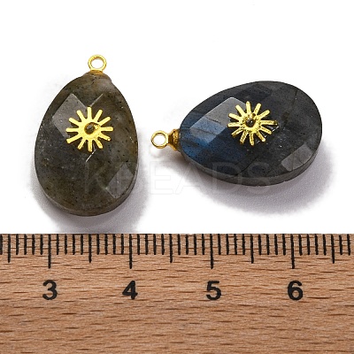Natural Labradorite Pendants G-B089-01G-04-1