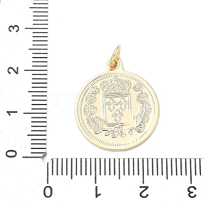 Brass Pendants KK-D364-08G-1