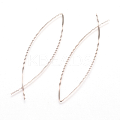 Minimalist Personality Street Tourism Jewelry EJEW-L237-01RG-1