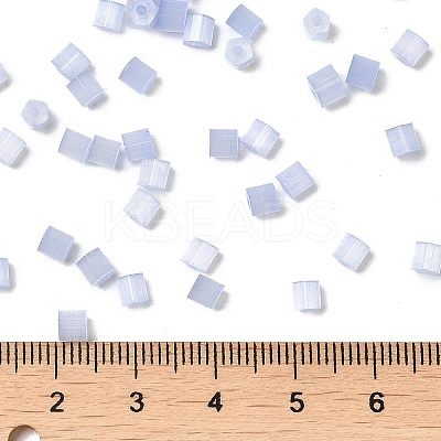 Glass Seed Beads SEED-H002-D-A814-1