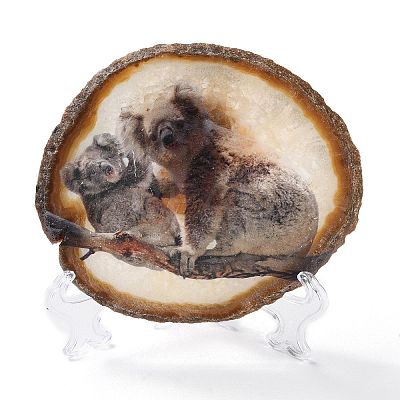 Printed Natural Agate Slice Stone Ornament DJEW-M011-04B-1