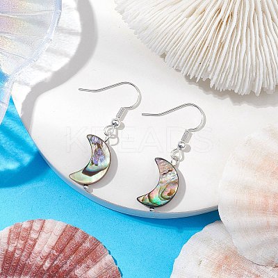 Natural Abalone Shell/Paua Shell Dangle Earring EJEW-JE05916-02-1