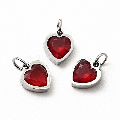 304 Stainless Steel Pendants STAS-D189-06P-12-1