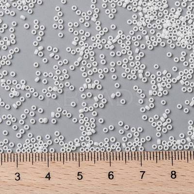 MIYUKI Round Rocailles Beads SEED-G009-RR0402-1