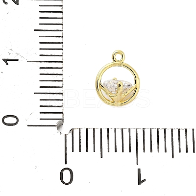 Brass Micro Pave Cubic Zirconia Charms ZIRC-F143-02G-1