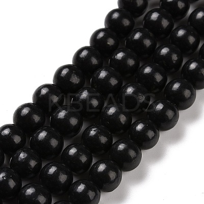 Natural Shungite Beads Strands G-D481-15A-1