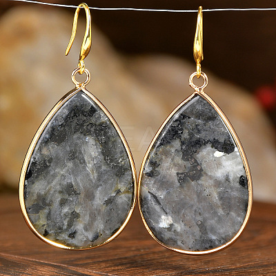Natural Larvikite Teardrop Dangle Earrings FS-WG5CAE0-11-1