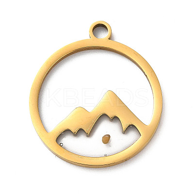 201 Stainless Steel Pendants STAS-D041-17G-1