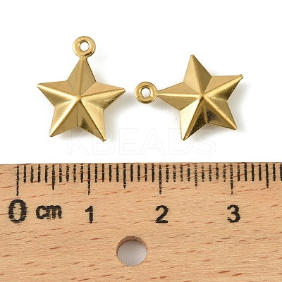 304 Stainless Steel Charms. Star Charm STAS-A190-05G-1