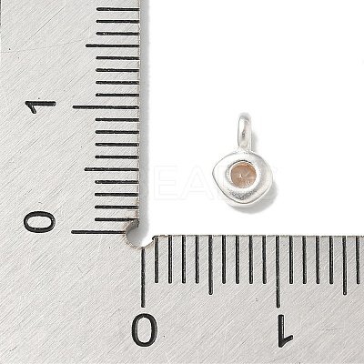 925 Sterling Silver Cubic Zirconia Flat Round Charms STER-R002-02S-06-1