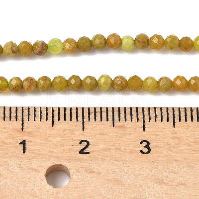 Natural Yellow Green Opal Beads Strands G-D306-A06-2mm-1