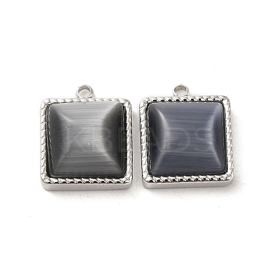 304 Stainless Steel Charms STAS-L022-075P-02-1