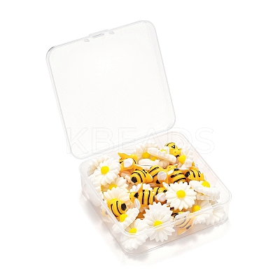 50Pcs 2 Style Resin Cabochons CRES-LS0001-02-1